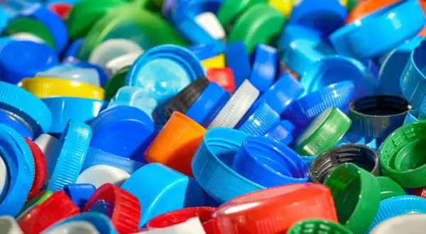 Ile kosztują nakrętki w skupie? Sprawdź, ile możesz zarobić