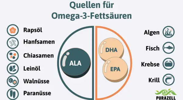 Quellen für Omega-3-Fettsäuren: Rapsöl, Hanfsamen, Chiasamen, Leinöl, Walnüsse, Paranüsse, Algen, Fisch, Krebse, Krill. Omega 3 kann beim Abnehmen unterstützen.