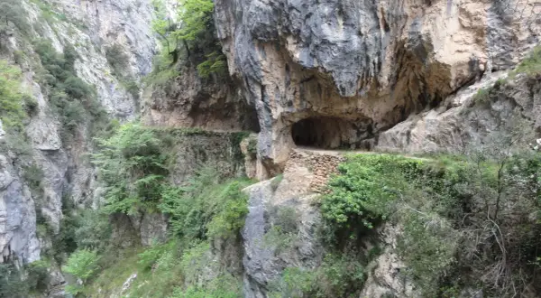 Un camino tallado en la roca, con vegetación exuberante, serpentea por un desfiladero. Una aventura en coche por los Picos de Europa.