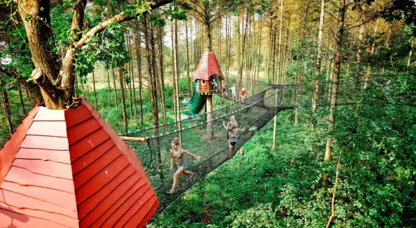 Barn leker på nätbroar mellan trädkojor i en wow park. En fantastisk äventyrsdag i skogen.