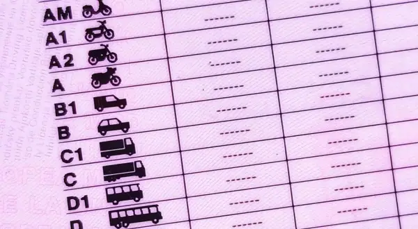 Detalle de un carnet de conducir con categorías de vehículos. Averigua cuanto cuesta renovar el carnet de conducir para cada tipo.