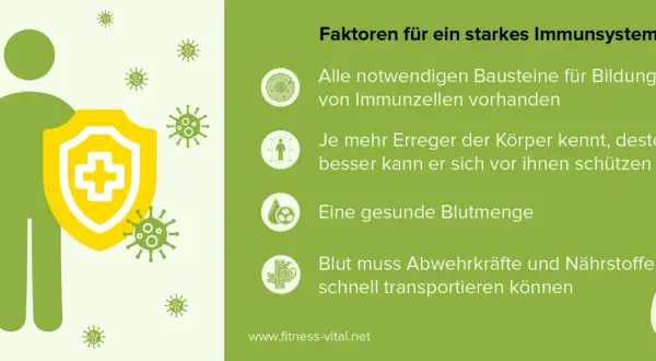 Immunsystem im Keller stärken: So vermeiden Sie gesundheitliche Risiken