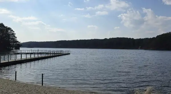 Drewniane molo na piaszczystym brzegu jeziora soczewka, otoczonego gęstym lasem.