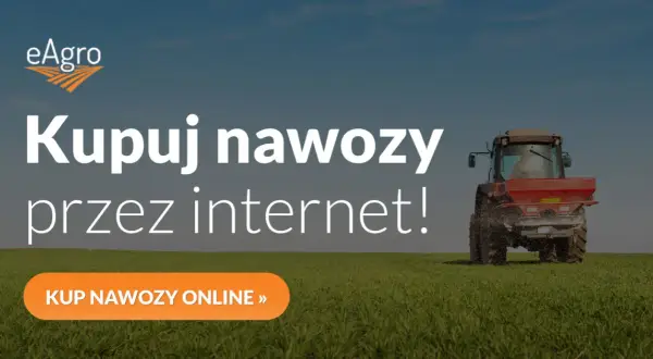 Kiedy stosować nawozy fosforowe i potasowe, aby uniknąć błędów w uprawach