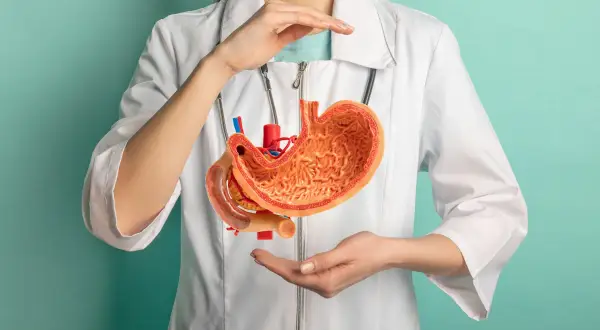Modello anatomico di stomaco tenuto da mani, suggerisce digitopressione per reflusso gastrico.