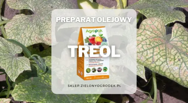 Pudełko preparatu Treol na tle liści roślin.