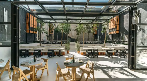Terraza de restaurante con techo de cristal, mesas de madera y piedra, árboles y un ambiente de movimiento.