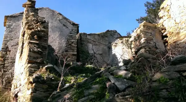 Ruines d'un village abandonné en Haute-Corse, envahies par la végétation. Les murs de pierre s'effondrent sous le ciel bleu.