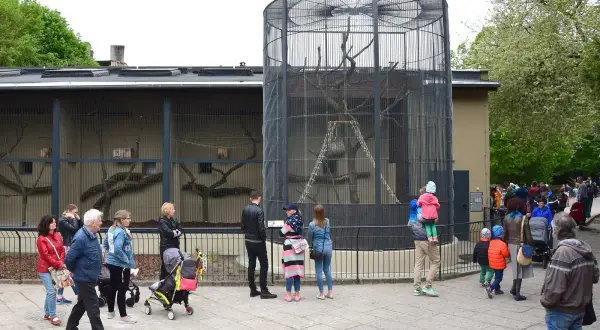 Odwiedzający oglądają zwierzęta w klatkach w **starym zoo Poznań**. Widać ludzi, wózki dziecięce i drzewa.