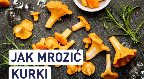 Świeże kurki i lód na ciemnym tle. Tekst: "JAK MROZIĆ KURKI".