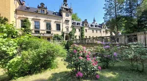 Zamek Kliczków zachwyca architekturą i kwitnącymi rododendronami. Warto sprawdzić opinie przed wizytą.