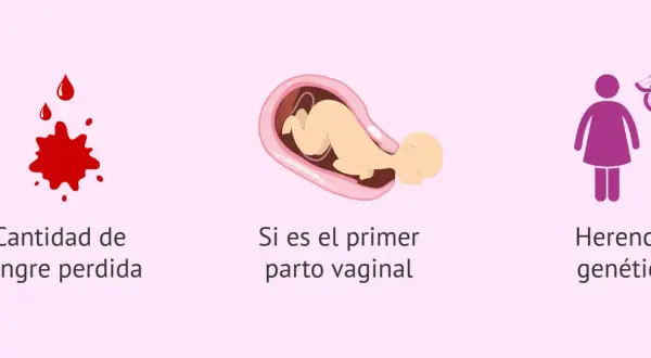 Factores que influyen en la regla después del parto: cantidad de sangre, primer parto vaginal y herencia genética.