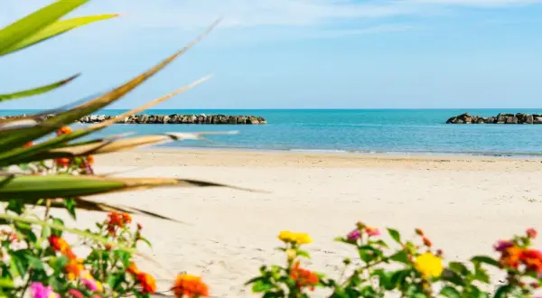 Spiaggia di Porto San Giorgio con fiori colorati in primo piano e il mare azzurro sullo sfondo. Sembra una padella gigante per la forma delle dighe frangiflutti.