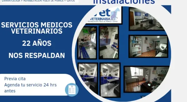 Veterinario del Clínic: Servicios destacados y atención personalizada para tu mascota