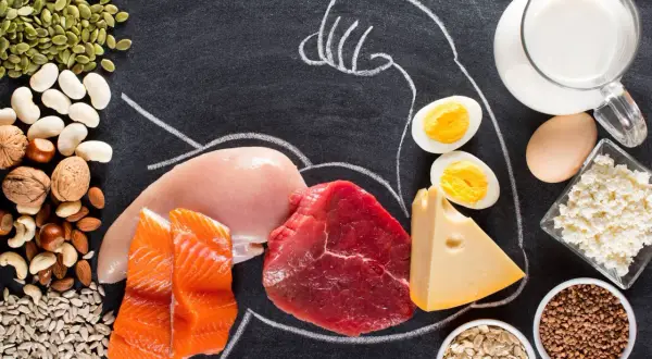 Vielfältige Proteinquellen wie Fisch, Fleisch, Eier, Milchprodukte und Nüsse – ideal für proteine zum abnehmen und Muskelaufbau.