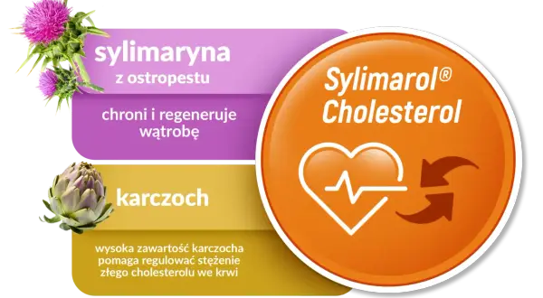 Sylimaryna z ostropestu i karczoch na tle grafiki z sercem i strzałkami, symbolizujące regulację cholesterolu.