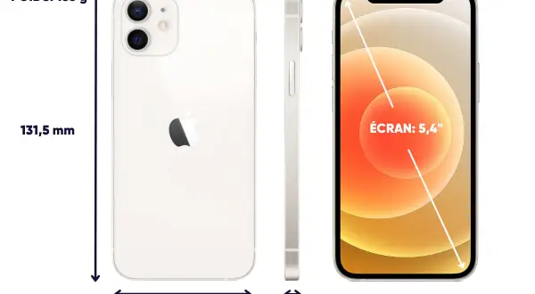Vue de face, de côté et de dos d'un iPhone 12 mini blanc, affichant ses dimensions : 131,5 mm de hauteur, 64,2 mm de largeur, 7,4 mm d'épaisseur et un écran de 5,4".