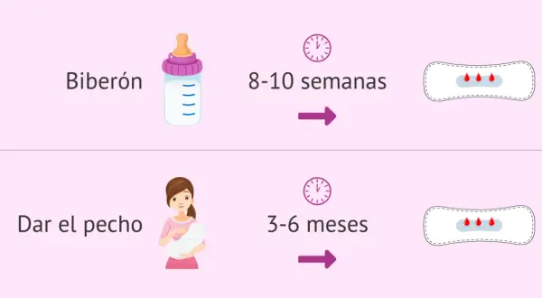Biberón: 8-10 semanas. Dar el pecho: 3-6 meses. Así es cuando viene la regla después del parto.