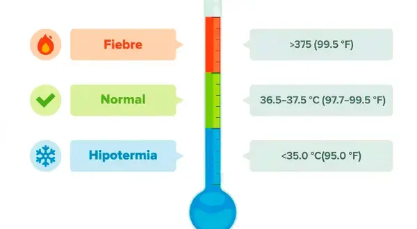 Termómetro muestra que cuanto es fiebre: >37.5°C. También indica temperatura normal y hipotermia.