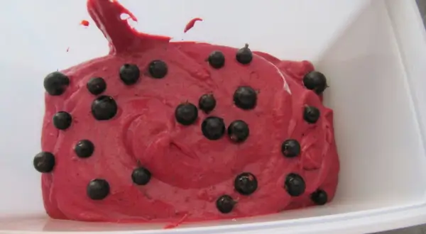 Sorbet cassis maison, une recette fruitée et rafraîchissante. La texture crémeuse est parsemée de baies noires pour un visuel gourmand.