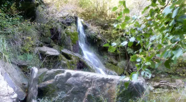 Cascata nella riserva naturale di Monterufoli-Caselli, con rocce muschiose e vegetazione lussureggiante.