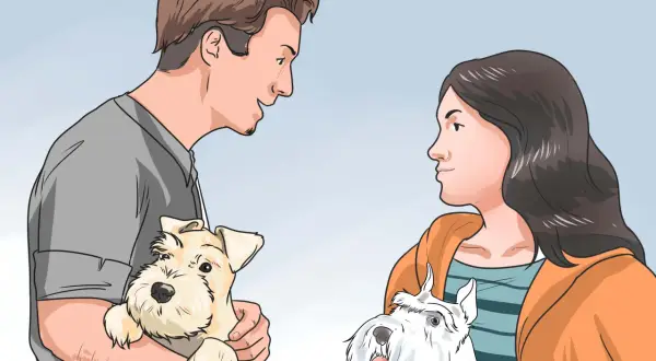 Hombre y mujer interactuando con dos perros. El hombre sostiene un perro beige, la mujer mira a un perro blanco. Aprende como ganarse la confianza de un perro.