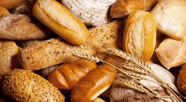 Czy pies może jeść bułkę? Dowiedz się, jakie są zagrożenia zdrowotne