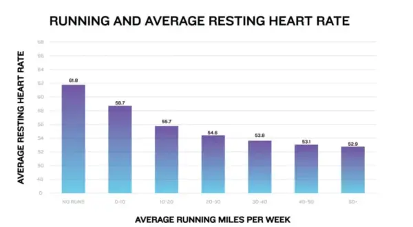 Balkendiagramm zeigt, wieviel km joggen ist gesund: Je mehr Meilen pro Woche, desto niedriger der Ruhepuls.