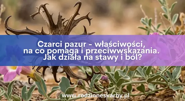 Dzikie pnącza i kwiaty otaczają zasuszone gałązki, przypominające czarci pazur. Tekst informuje o jego właściwościach i działaniu na stawy.