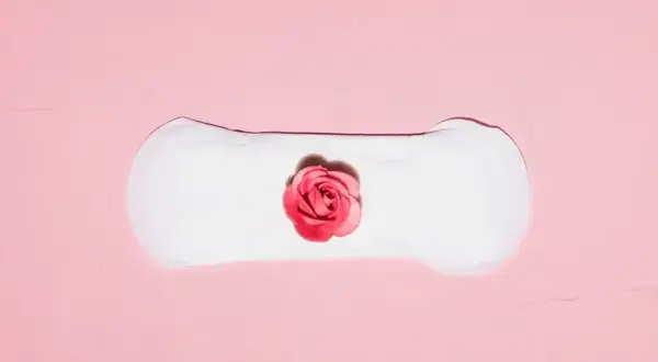 Delikatne plamienie implantacyjne, jak subtelny różany pączek na białym podkładzie, symbolizuje początek nowego życia.