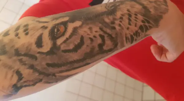 Rękaw z malych tatuazy przedstawiający oko tygrysa i jego futro.