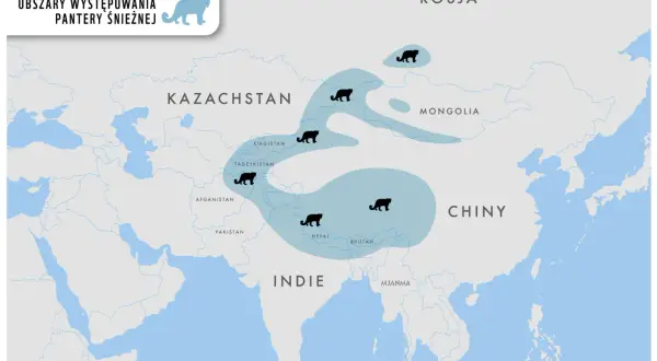 Mapa pokazuje zasięg występowania pantery śnieżnej w Azji. Zwierzęta te zamieszkują wysokie szczyty górskie od Rosji po Indie.