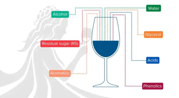 Schema che illustra i componenti del vino: alcol, zuccheri residui, aromatici, acqua, glicerina, acidi e fenoli, con la glicerina che contribuisce alla consistenza.