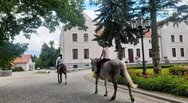 Najlepsze stadniny koni w Wołominie - sprawdź oferty i opinie