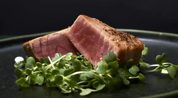 Två bitar grillad tonfisk med peppar ligger på en bädd av gröna skott på en mörk tallrik.