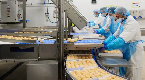 Mademoiselle Desserts Tincques : au cœur de la pâtisserie industrielle