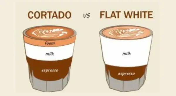Illustration visar skillnaden mellan flat white och cortado. Cortadon har ett lager skum, medan flat white har mer mjölk.