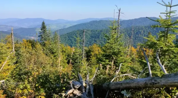 Stare Wierchy Turbacz: Łatwy szlak z widokiem na Tatry przewodnik