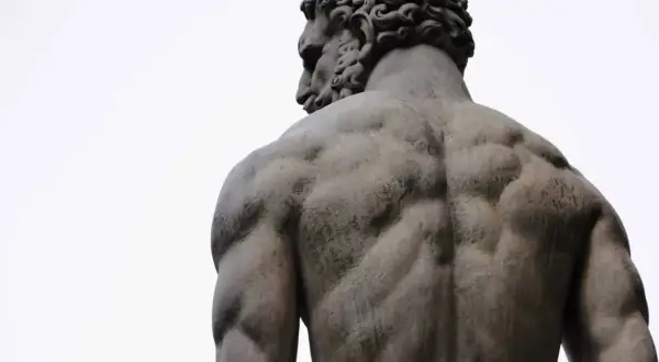 Hipertrofia muscular: la guía definitiva para crecer y ganar fuerza