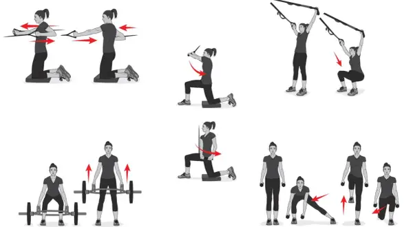 Illustrations of exercises for triathlon strength training programs: resistance band rows, TRX squats, barbell deadlifts, and dumbbell lunges.