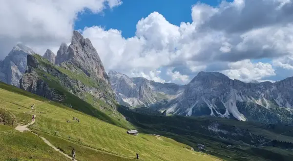 Sentiero panoramico tra prati verdi e vette maestose, ideale per escursioni in Alto Adige.