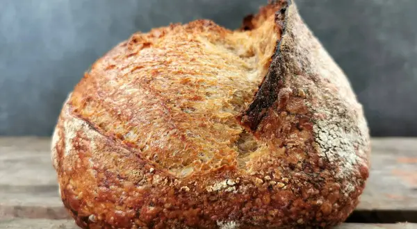 Ein rustikales Brot mit knuspriger Kruste und luftiger brot krume liegt auf Holzbrettern.
