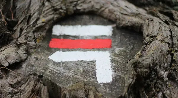 Co oznaczają kolory szlaków w Bieszczadach? Poznaj ich znaczenie