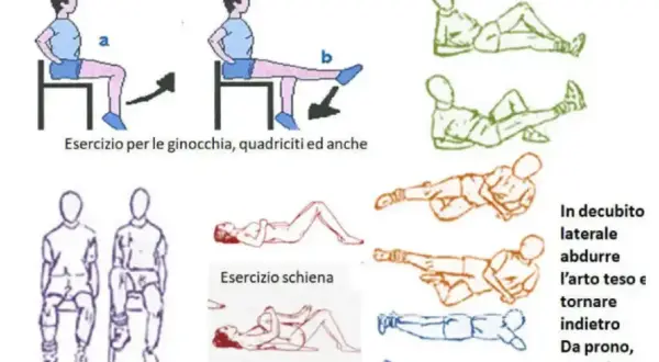 Esercizi per le ginocchia, quadriciti ed anche. Da seduto alzare l'arto flesso. Esercizi in decubito laterale e prono per estendere l'arto teso.