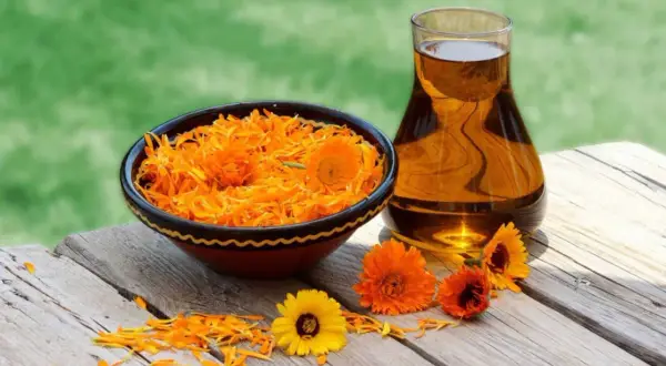 Petali di calendula in una ciotola e olio dorato in un bicchiere, rimedi naturali per il prurito.