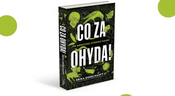 Jak się pisze ohyda? Odkryj zasady pisowni i znaczenie tego słowa