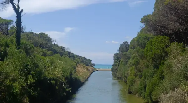 Canale che sfocia nel mare, incorniciato dalla vegetazione della riserva naturale Tomboli di Cecina.