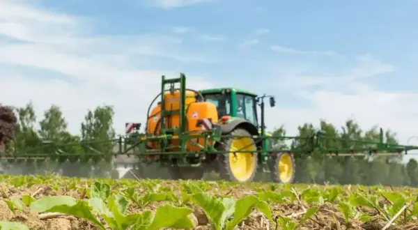 Zielony traktor z opryskiwaczem, zawierającym etofumesat, chroni młode buraki przed chwastami na polu.