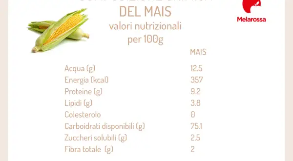 Composizione chimica del mais: valori nutrizionali per 100g, con dettagli su acqua, energia, proteine, lipidi, carboidrati e fibra.