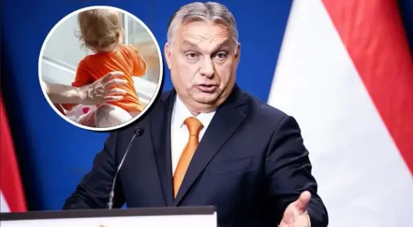 Co nieco o rozwoju dziecka: Analiza opinii czy to warte ceny?